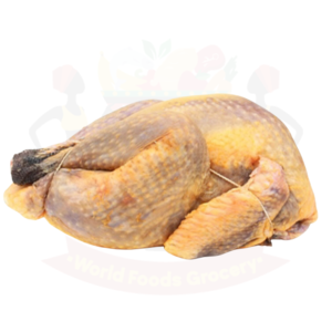Guinea Fowl