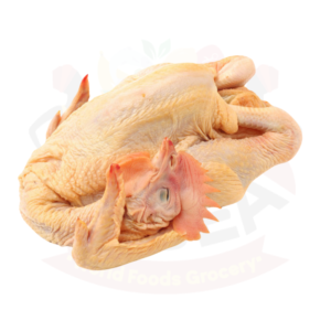 Cockerel Chicken