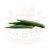 Fresh Okra (Bhindi) Loose – India
